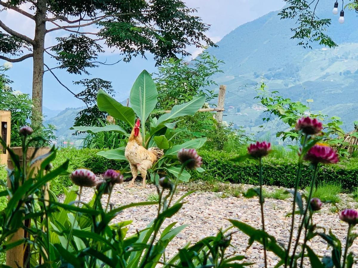 ホテル Sapa Rosie House エクステリア 写真