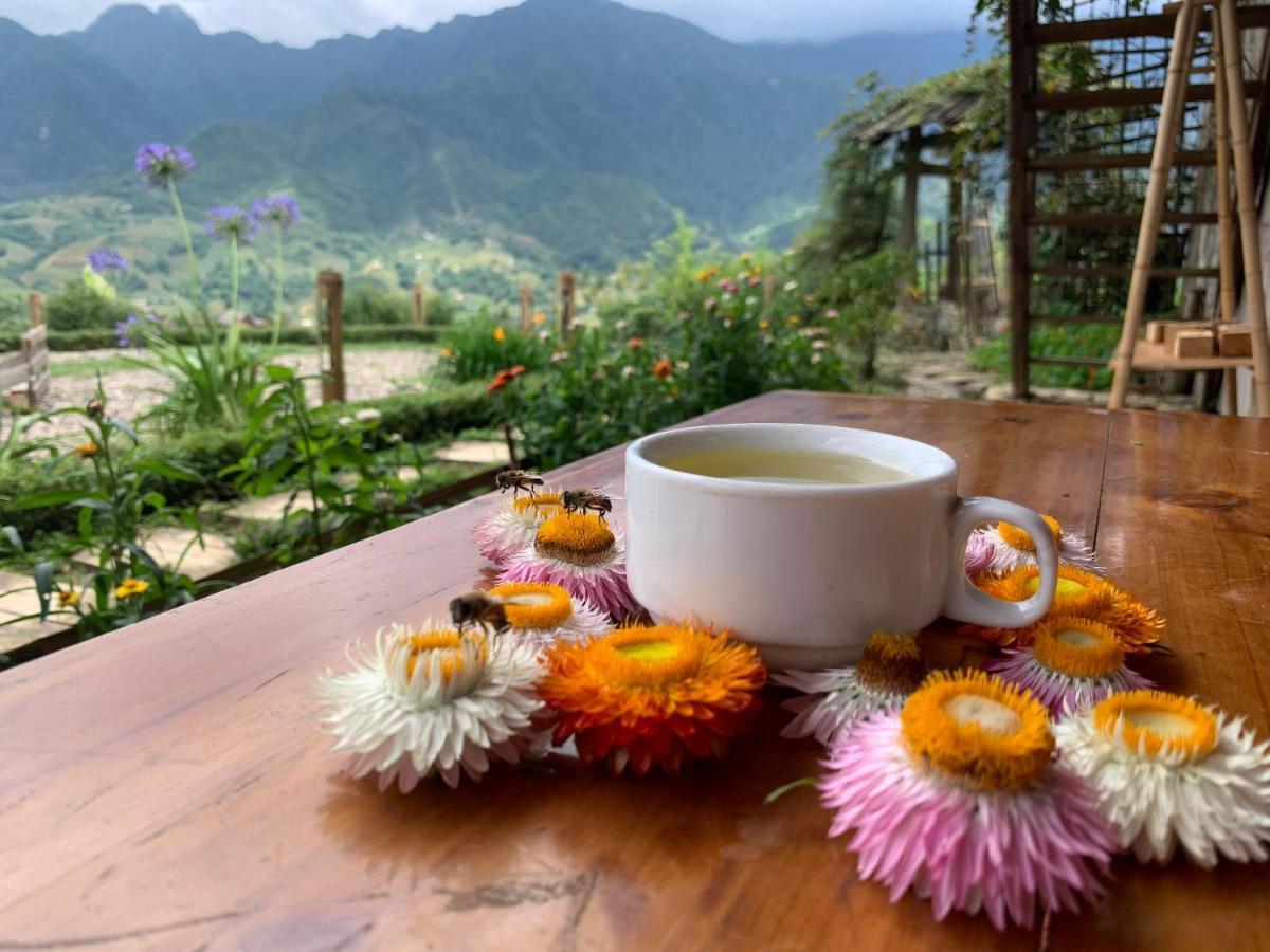 ホテル Sapa Rosie House エクステリア 写真
