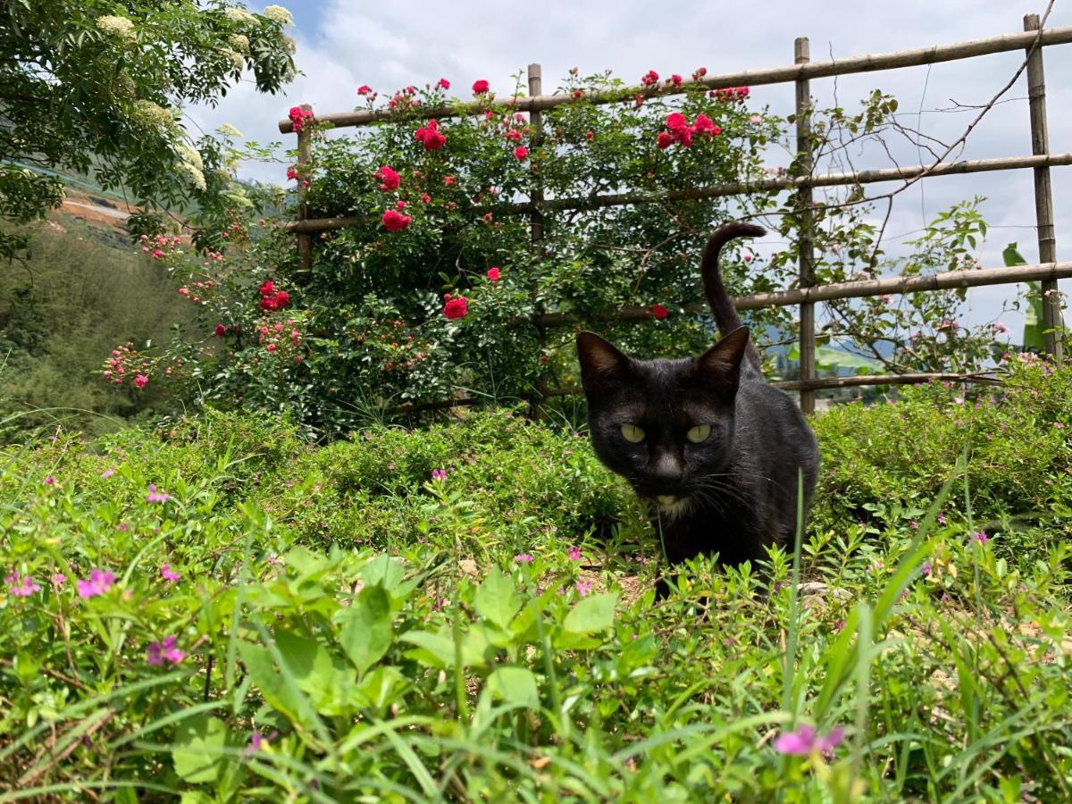 ホテル Sapa Rosie House エクステリア 写真